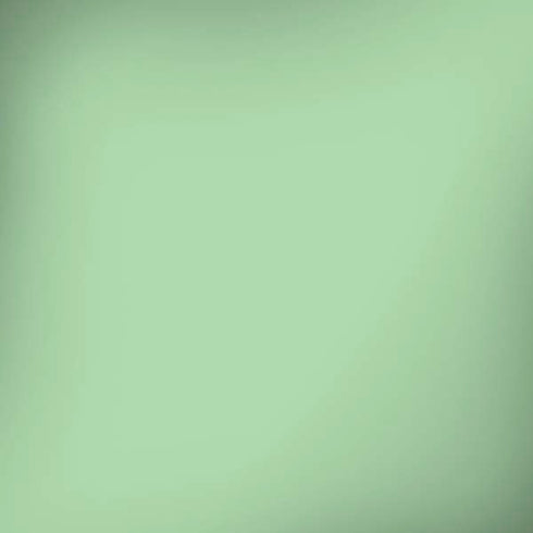 Celadon Solid iPhone X Pro Case