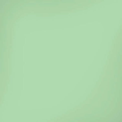 Celadon Solid iPhone XR Skin