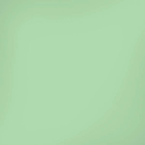 Celadon Solid iPhone XS Max Skin