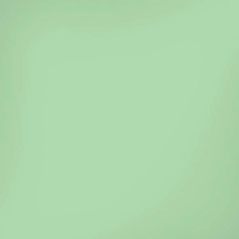 Celadon Solid iPhone XS Skin