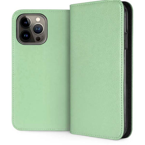 Celadon iPhone 15 Pro Max Folio Case