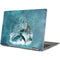 Brigid Ashwood Celtic Dolphin Yoga 710 14in Skin