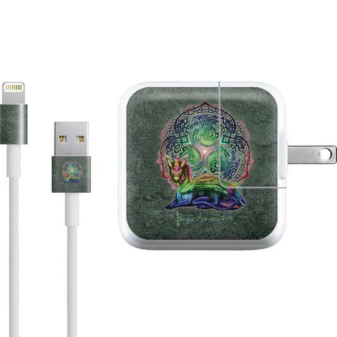 Brigid Ashwood Celtic Dragon iPad Charger (10W USB) Skin