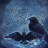 Brigid Ashwood Celtic Raven Surface Book 2 13.5in Skin