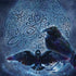 Brigid Ashwood Celtic Raven Surface Book 2 15in Skin