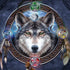 Celtic Wolf Guide by Brigid Ashwood Dell Alienware Skin
