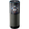 Brigid Ashwood Celtic Wolf Guide Amazon Echo Skin