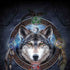 Brigid Ashwood Celtic Wolf Guide Moto G6 Skin