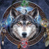 Brigid Ashwood Celtic Wolf Guide Notebook 9 Pro 13in (2017) Skin