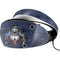 Brigid Ashwood Celtic Wolf Guide PlayStation VR2 Skin