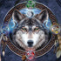 Brigid Ashwood Celtic Wolf Guide HP Spectre Skin
