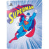 DC Comics Superman Vintage Action Pose PS5 Digital Edition Bundle Skin