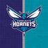 NBA Charlotte Hornets Canvas Nintendo 2DS XL (2017) Skin