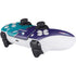 NBA Charlotte Hornets Canvas PS5 Controller Skin