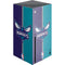 NBA Charlotte Hornets Canvas Xbox Series X Console Skin