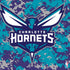 NBA Charlotte Hornets Digi Camo PS4 Controller Skin