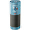 NBA Charlotte Hornets Hardwood Classics Amazon Echo Skin