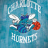 NBA Charlotte Hornets Hardwood Classics iPhone X Pro Case