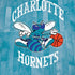 NBA Charlotte Hornets Hardwood Classics iPhone XR Skin