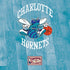 NBA Charlotte Hornets Hardwood Classics Moto E5 Play Skin