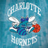 NBA Charlotte Hornets Hardwood Classics Notebook 9 Pro 13in (2017) Skin