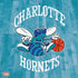 NBA Charlotte Hornets Hardwood Classics PS4 Pro/Slim Controller Skin