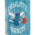 NBA Charlotte Hornets Hardwood Classics PS5 Bundle Skin