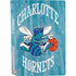 NBA Charlotte Hornets Hardwood Classics PS5 Console Skin