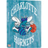 NBA Charlotte Hornets Hardwood Classics PS5 Digital Edition Bundle Skin