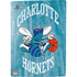 NBA Charlotte Hornets Hardwood Classics PS5 Digital Edition Console Skin