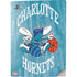 NBA Charlotte Hornets Hardwood Classics PS5 Digital Edition Console Skin