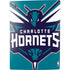 NBA Charlotte Hornets Large Logo PS5 Digital Edition Bundle Skin