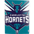 NBA Charlotte Hornets Large Logo PS5 Digital Edition Bundle Skin