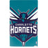 NBA Charlotte Hornets Large Logo PS5 Slim Digital Edition Console Skin
