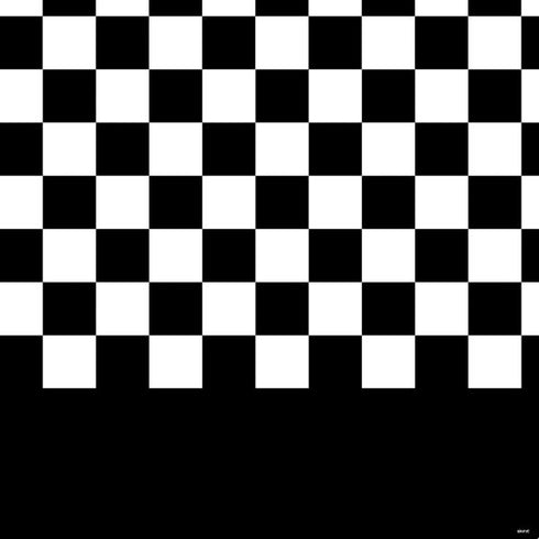 Checkerboard Split PS4 Controller Skin