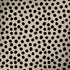Cheetah Spots Notebook 9 Pro 13in (2017) Skin