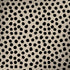 Cheetah Spots HP Spectre Skin