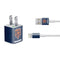 NFL Chicago Bears - Alternate Distressed iPhone Charger (5W USB) Skin