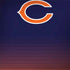 NFL Chicago Bears Breakaway Legion Y720 Skin