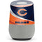 NFL Chicago Bears Google Home Skin