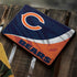 NFL Chicago Bears Google Pixelbook Go Skin