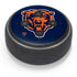 NFL Chicago Bears Large Logo Amazon Echo Dot Skin