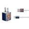 NFL Chicago Bears Large Logo iPhone Charger (5W USB) Skin