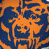 NFL Chicago Bears Retro Logo Moto G6 Skin