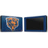 NFL Chicago Bears Retro Logo Nintendo Switch Bundle Skin