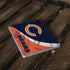 NFL Chicago Bears Surface Go Skin