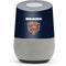 NFL Chicago Bears Team Jersey Google Home Skin