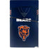 NFL Chicago Bears Team Jersey PS5 Slim Digital Edition Bundle Skin