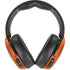 NFL Chicago Bears Team Motto Skullcandy Venue Skin