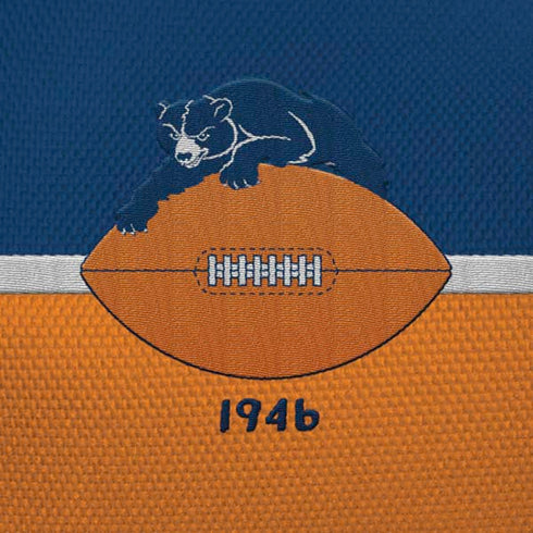 NFL Chicago Bears Vintage iPhone XR Skin